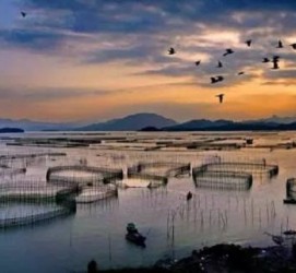 镇江伴游中国网景点丰富(旅游网介绍)