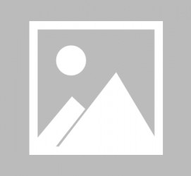 镇江北京私人伴游 宁波出现专业“旅拍” 充当导游+地陪 上山下海一路跟随