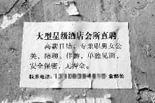 镇江珠海伴游雇用网(珠海游览社雇用信息)