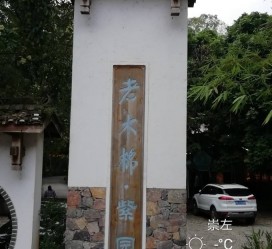 镇江关于伴游中国伴游你们伴得是什么游的信息