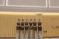 镇江杭州模特礼节兼职群(杭州兼职商务模特经纪人微信)