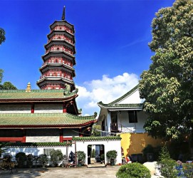 镇江广州自由行(广州 自由行)