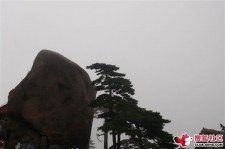 镇江上海伴游私家陪游雇用女模(上海伴游私家陪游雇用女模特)
