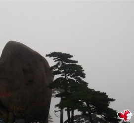 镇江上海伴游私家陪游雇用女模(上海伴游私家陪游雇用女模特)