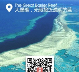 镇江中国250家旅行社结伴游新西兰(新西兰当地旅行社)