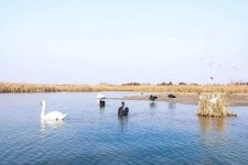 镇江南昌附近伴游小妹兼职(1534939978姐的微信德惠市)