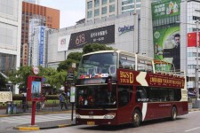 镇江上海私人伴游 上海过年怎么玩？这些“微游”线路了解下→
