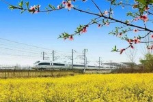 镇江高铁游(高铁游戏下载手机版)