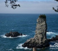 镇江旅游全攻略(上海旅游全攻略)