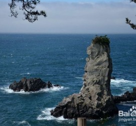 镇江旅游全攻略(上海旅游全攻略)