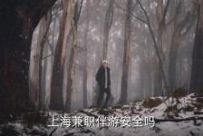 镇江上海私人伴游 上海伴游，上海兼职伴游安全吗