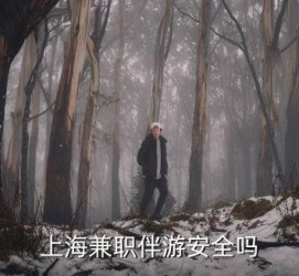 镇江上海私人伴游 上海伴游，上海兼职伴游安全吗