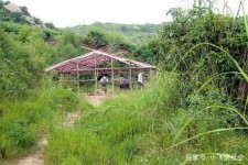 镇江北海伴游兼职雇用信息(北海伴游兼职雇用信息大全)