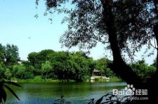 镇江西湖旅游攻略(上海到杭州西湖旅游攻略)