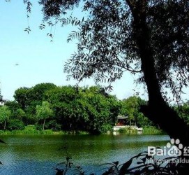 镇江西湖旅游攻略(上海到杭州西湖旅游攻略)