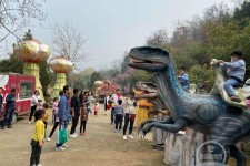 镇江中国伴游带你打卡网红南山竹海(南山竹海网上预约)