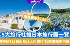 镇江旅游价格(旅游价格机制)