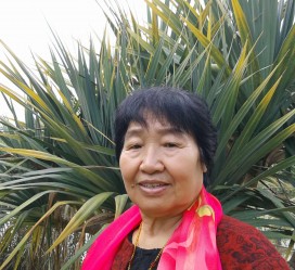 镇江白叟带老伴游半个中国(白叟外出旅游)