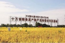 镇江关于成都商务伴游外围雇用的信息
