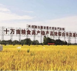镇江关于成都商务伴游外围雇用的信息