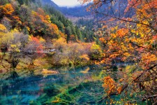 镇江四川旅游攻略(四川旅游攻略十五日游)