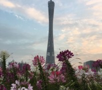镇江广州旅游攻略(杭州到广州旅游攻略)