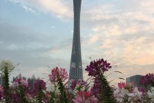镇江广州旅游攻略(杭州到广州旅游攻略)