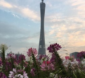 镇江广州旅游攻略(杭州到广州旅游攻略)