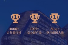 镇江上海私人伴游 ​ “小而美”的新时代：2020年国内新跟团消费报告