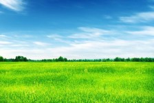 镇江上海伴游 上海模特伴游微信号的交友宣言