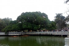 镇江福州旅游攻略(福州旅游攻略二日游)