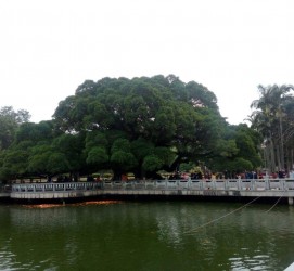 镇江福州旅游攻略(福州旅游攻略二日游)