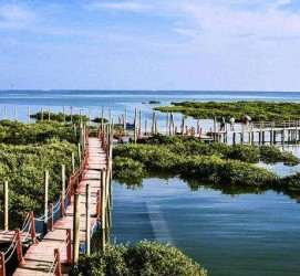 镇江旅游哪里好玩(云南旅游哪里好玩)
