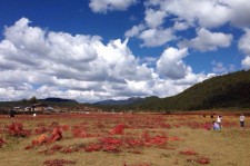 镇江旅游去处(暑期最好的旅游去处)