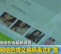 镇江上海伴游 伴游女郎白天陪玩晚上陪睡 网络跑火日薪过万(图)
